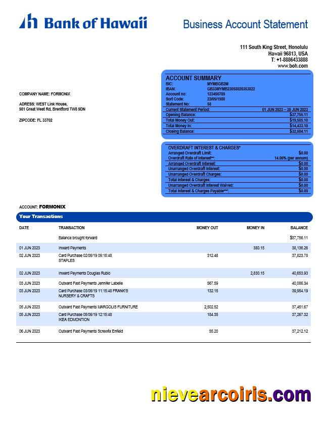 Bank of Hawaii firm account statement